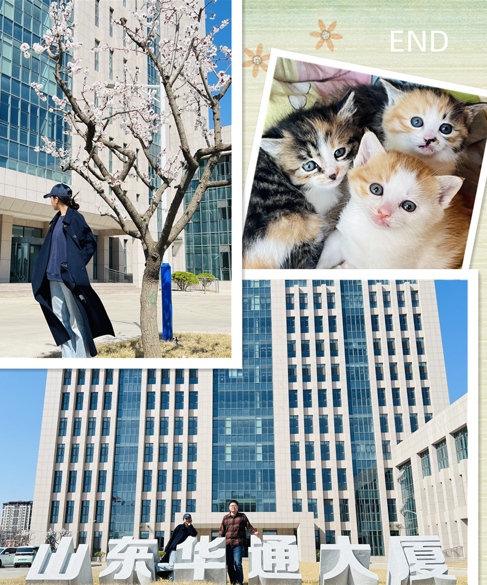 拼圖2-2.jpg 拼圖2-2.jpg