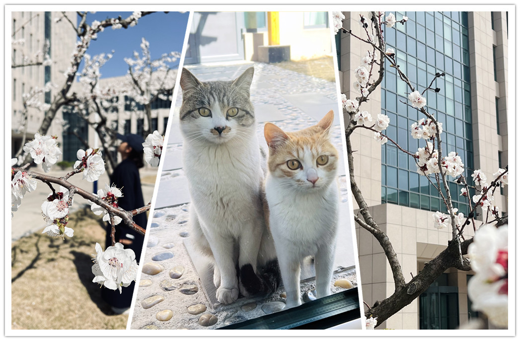 拼圖.jpg 拼圖.jpg